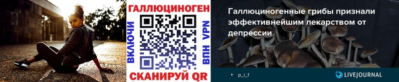 Псилоцибиновые грибы Cubensis Будённовск